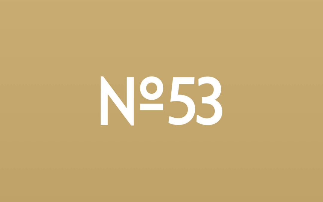 No53