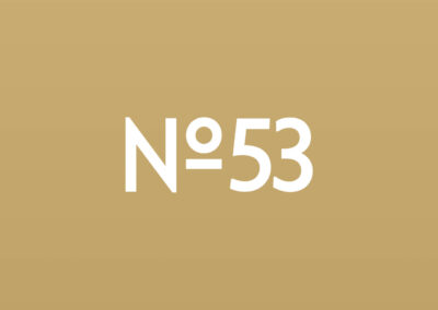 No53